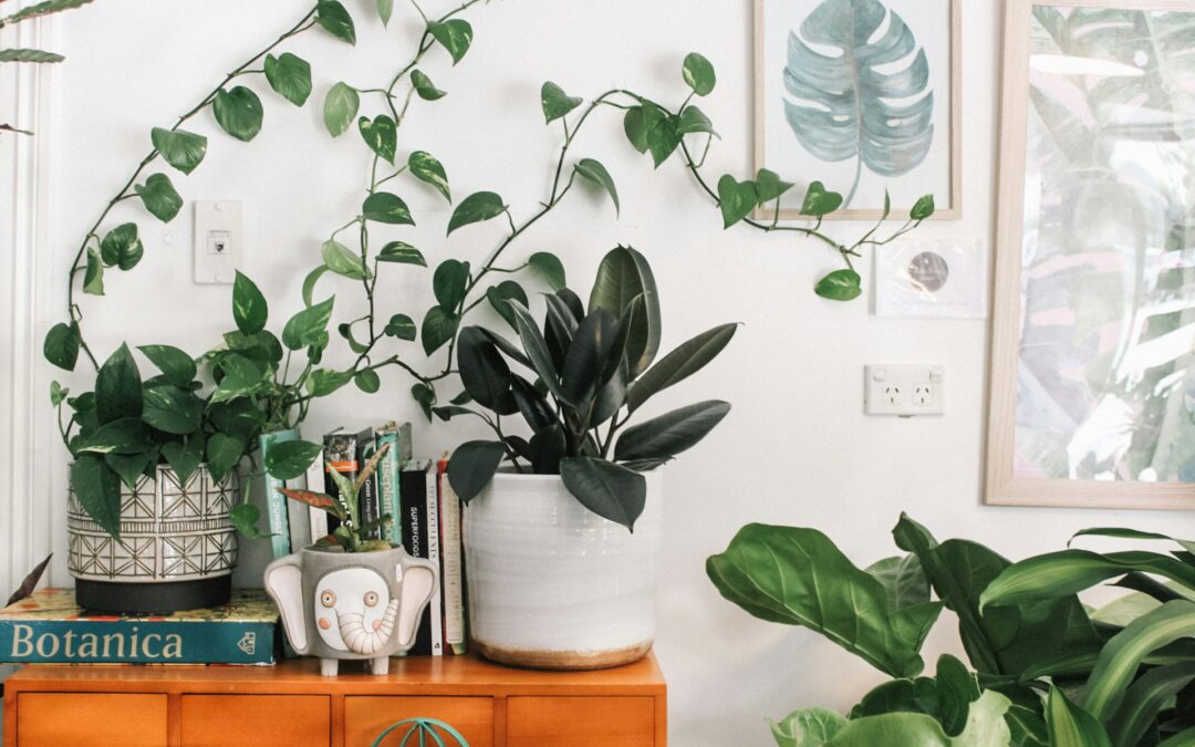 Minimalist Mastery: Curating a Personalized Minimal Space